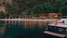 yazzg 74 Yazz Collective 2025