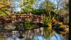 Japanese Garden