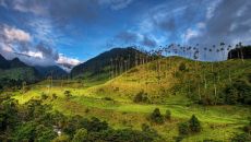 Activities Salento cocora