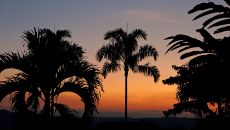 Hacienda Bambusa sunset