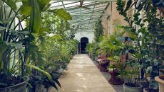 discover the hotel 25 53612613081