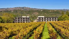 PRINT 83 Alila Napa Valley