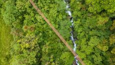 IP Hanging Bridges Isla Palenque