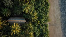 Isla Palenque Shadows Drone Coffee Abroad Isla Palenque