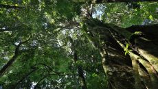 Agouti Senda Reserve