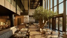 Fand B Janu Mercato 48375 at Janu Tokyo