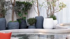 Mondrian Terraza at Mondrian Mexico City Condesa