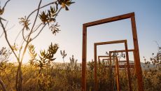 Natural Corridor at Banyan Tree Veya Valle de Guadalupe