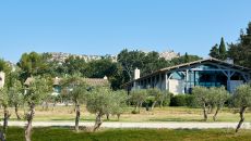 al18 dom manville 065 HERBE Domaine de Manville