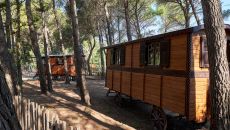 al18 dom manville 073 Domaine de Manville