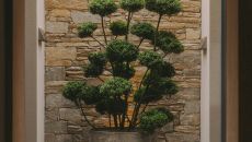 interior details tree at Hotel AVIDEA