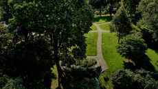 details 20240819 villa dahlia hlvm 104 1 at Villa Dahlia