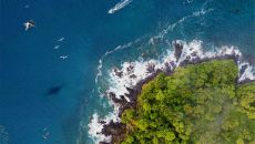 Nature at Waldorf Astoria Costa Rica Punta Cacique