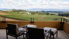 Valley View Studio Patio 2 at Black Walnut Inn Vineyard