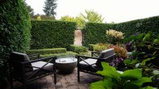 Vineyard Luxury Patio at Black Walnut Inn Vineyard