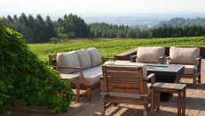 Patio at Black Walnut Inn Vineyard