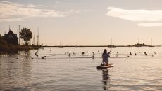 Paddle at De Durgerdam