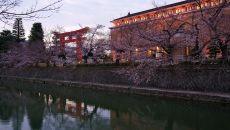 Nearby museum Torii gates at Shinsho an