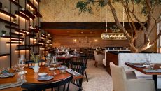 restaurant filia at SLS Playa Mujeres