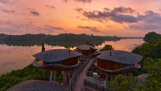 See more information about Mandai Rainforest Resort by Banyan Tree Mandai Rainforest Resort by Banyan Tree Key Visual Mandai Rainforest Resort by Banyan Tree 2025