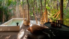 room jungle plunge 01 at Our Habitas Tulum