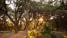 AUS 190105 grounds 11671 at Miraval Austin