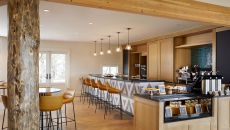 AUS 190105 nest 0308 at Miraval Austin